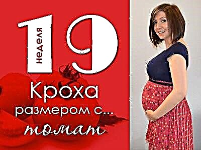 19: e graviditetsveckan: vad händer med fostret och den blivande mamman?