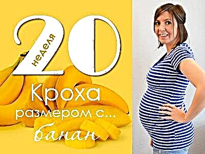 20. rasedusnädal: mis juhtub loote ja lapseootel emaga?