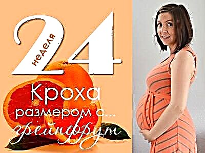 24. rasedusnädal: mis juhtub lootel ja tulevasel emal?