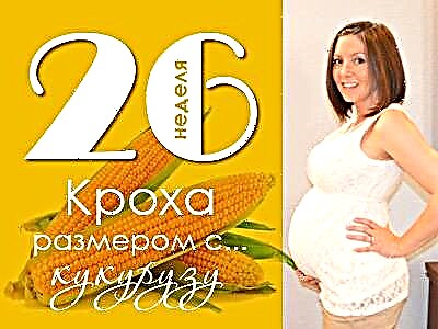26 weeks pregnant: what happens to the fetus and the expectant mother?