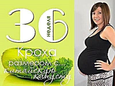 36 týždňov tehotenstva: čo sa stane s plodom a budúcou matkou?