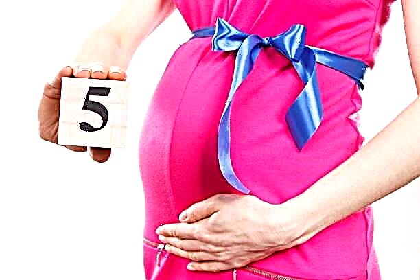 Пети месец от бременността