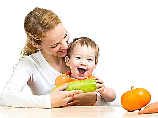 Zucchini complementary feeding: what to consider and how to cook?