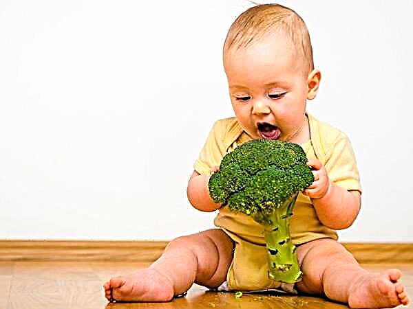 Brócoli de alimentación complementaria: ¿que considerar y como cocinar?