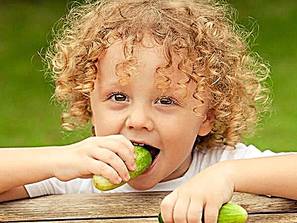 I hvilken alder og når kan et barn få agurk?