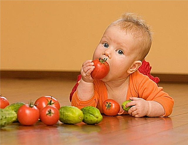 З якого віку можна давати дитині помідори?