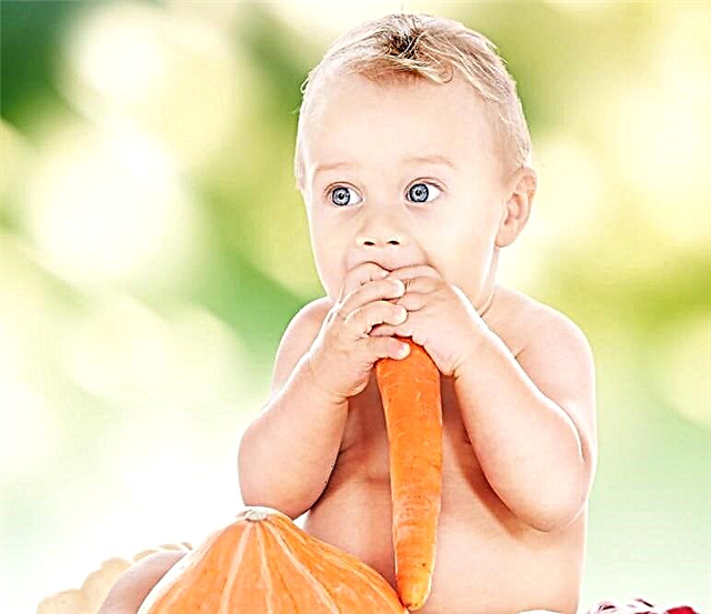 Hur introducerar du morötter i kompletterande livsmedel och vid vilken ålder kan du ge ditt barn morotpuré och juice?