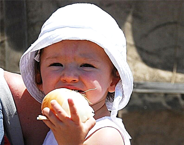 Com que idade uma criança pode comer cebolas?