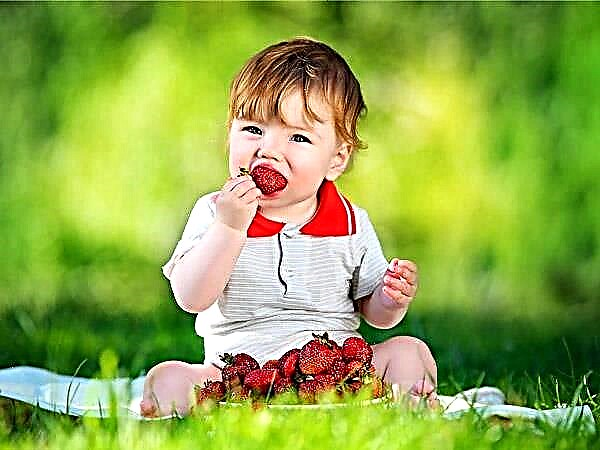 W jakim wieku i kiedy możesz podać dziecku truskawki?