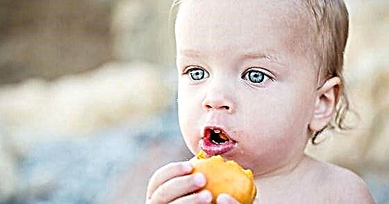 I hvilken alder kan abrikoser gives til et barn?
