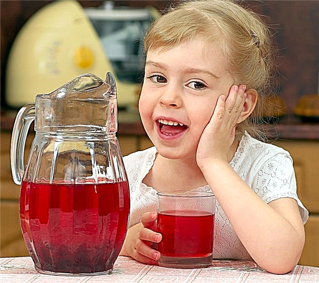 Pada usia berapa kanak-kanak boleh diberi cranberry?