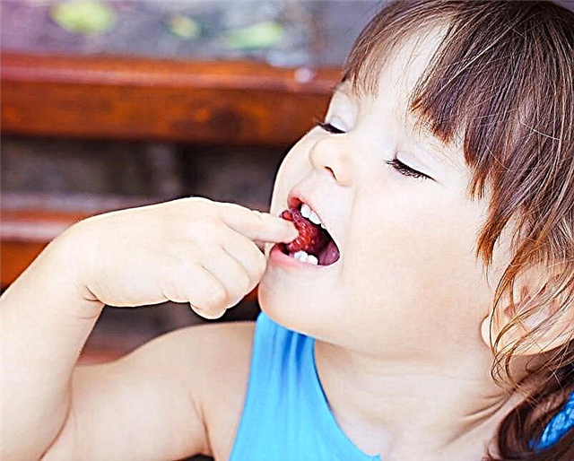 Pada usia berapa anak bisa diberi raspberry?