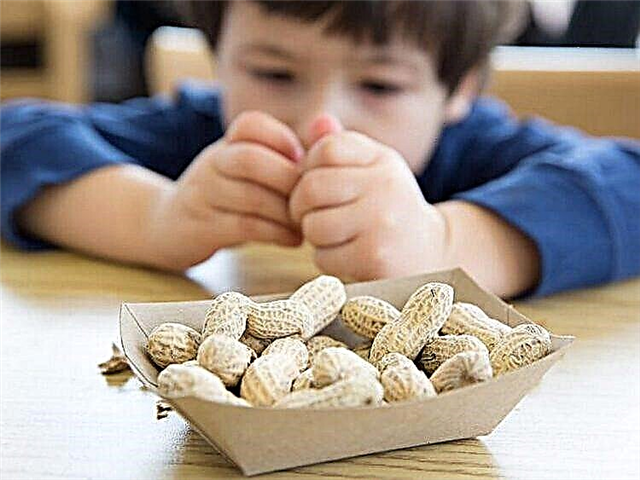 Ở độ tuổi nào có thể cho ăn các loại hạt?