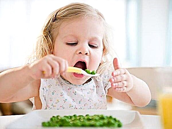 Com que idade você pode dar ao seu filho leguminosas - ervilhas, feijões e lentilhas?