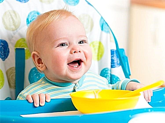 Bir çocuğa hangi yaşta çorba verebilirsiniz ve bir yaşında bir bebek için hangi tarifler uygundur?