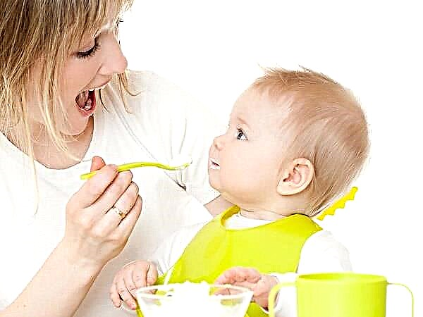 Quando introdurre la ricotta negli alimenti complementari per un bambino?