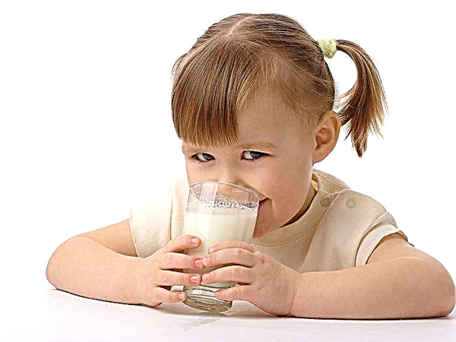 A che età si può dare il latte di capra a un bambino?