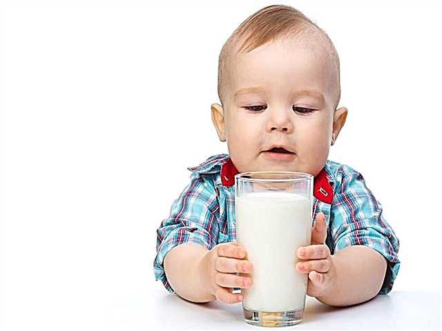 Vid vilken ålder kan ett barn få komjölk?