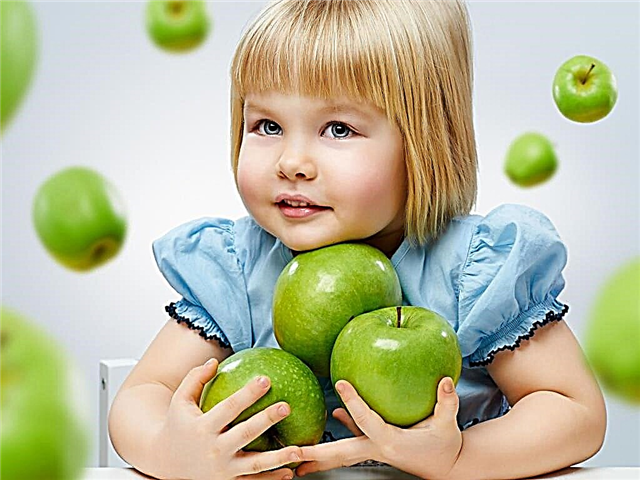 Nabídka pro dítě ve věku 3 let: zásady výživy