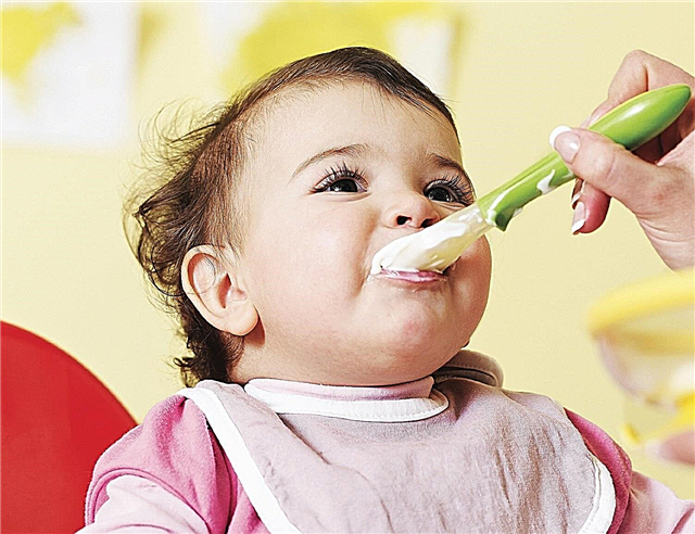 11 महीने में बेबी का मेनू: आहार और पोषण संबंधी सिद्धांतों का आधार 