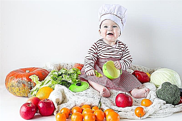 Το μενού του μωρού σε 9 μήνες: η βάση της διατροφής και των διατροφικών αρχών 