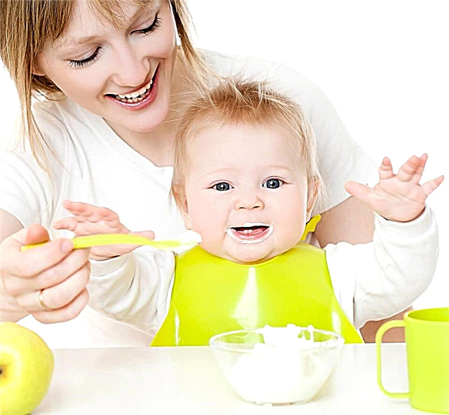 Menú del bebé a los 7 meses: la base de la dieta y los principios nutricionales
