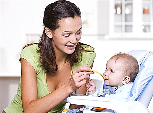 Baby's menu at 6 months: the basis of the diet and nutritional principles