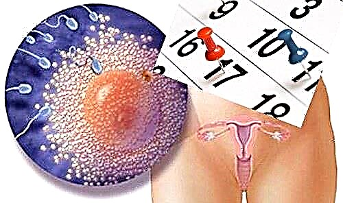 При статевому акті за скільки днів до овуляції можна завагітніти?
