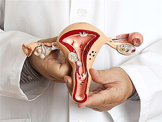 Quand le follicule de l'ovaire éclate-t-il et de quoi dépend-il?