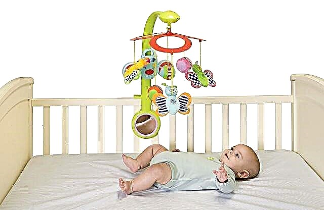 What toys and rattles for the crib to choose?