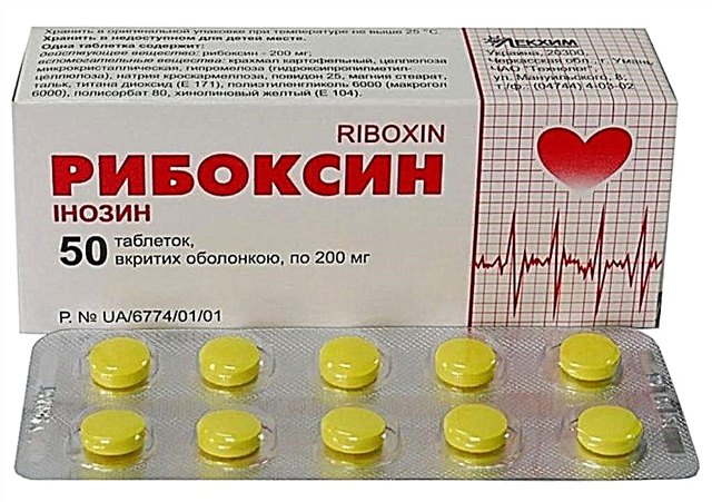 妊娠中の「リボキシン」：使用説明書