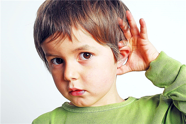 Hearing impaired children: educational features, hearing aids and rehabilitation