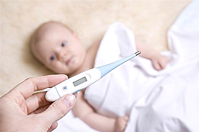 Termometer bayi: termometer mana yang terbaik untuk anak?