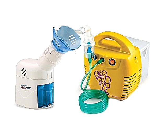 Vad är skillnaden mellan en nebulisator och en inhalator?
