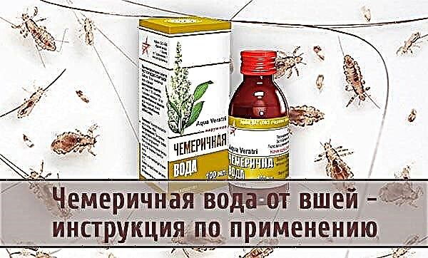 ماء Chemerichnaya من القمل عند الأطفال