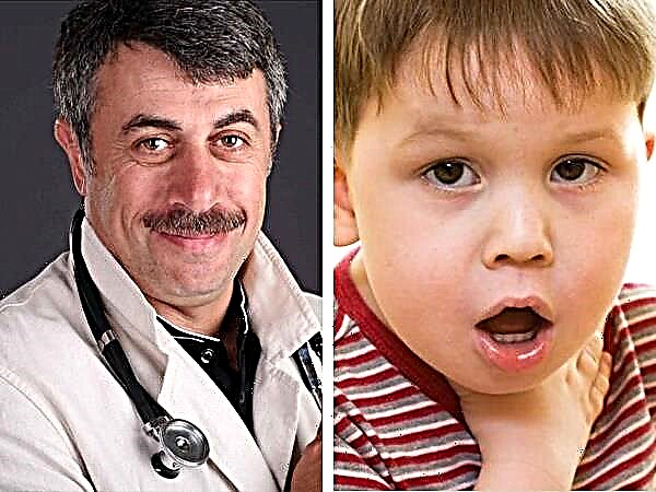 Γιατρός Komarovsky σχετικά με το τι πρέπει να κάνετε εάν ένα παιδί έχει βραχνή φωνή