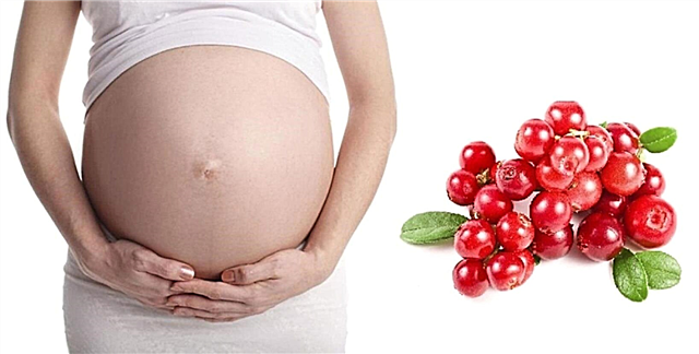 El uso de arándanos rojos durante el embarazo.