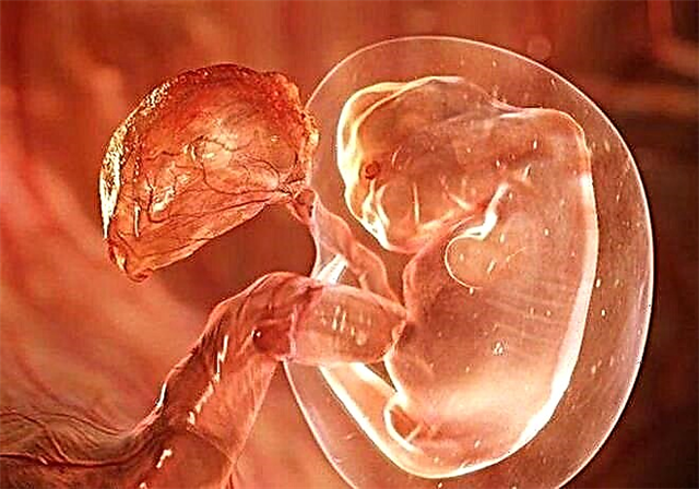 Znaky a vlastnosti implantácie embrya