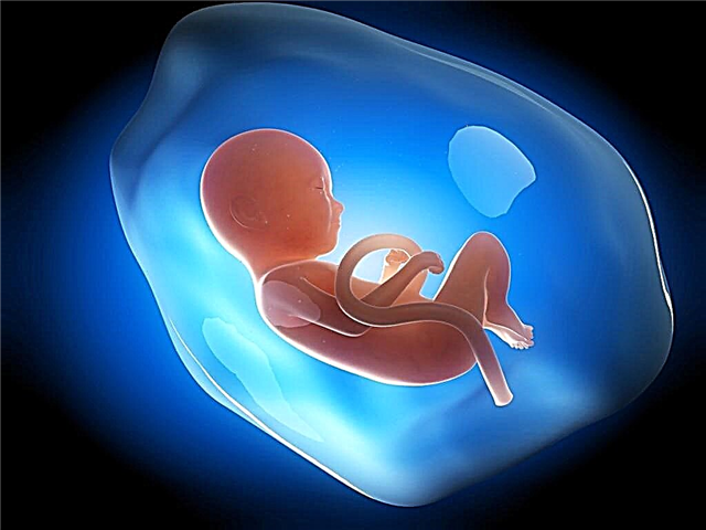 Peso y altura fetal por semana de embarazo