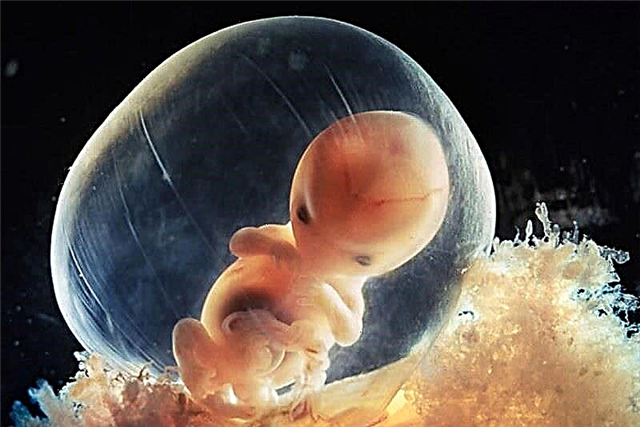 Ukuran sel telur pada minggu kehamilan di tabel
