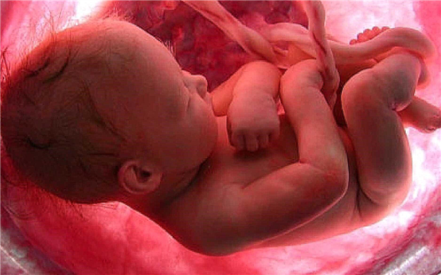 Quando un bambino inizia a sentire nell'utero?