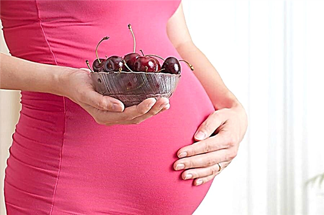 Zoete kers tijdens de zwangerschap: voor- en nadelen, gebruiksregels