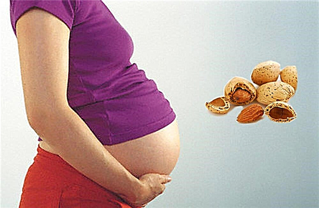 Puoi mangiare mandorle durante la gravidanza e quali sono le restrizioni?