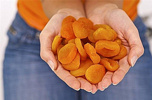 Tørrede abrikoser under graviditet: fordele og skader, tip til brug 