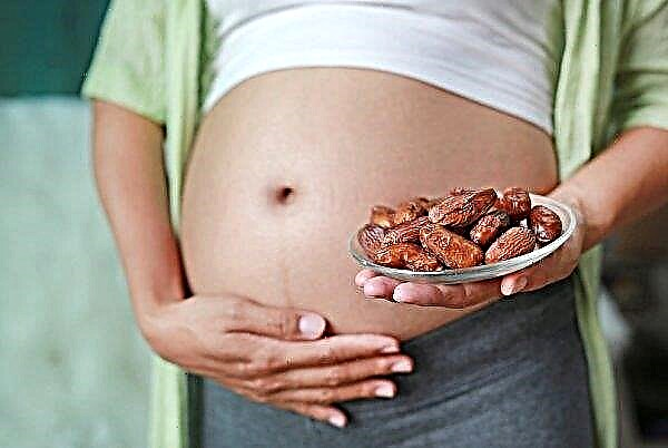 Kan du spise datoer under graviditeten?