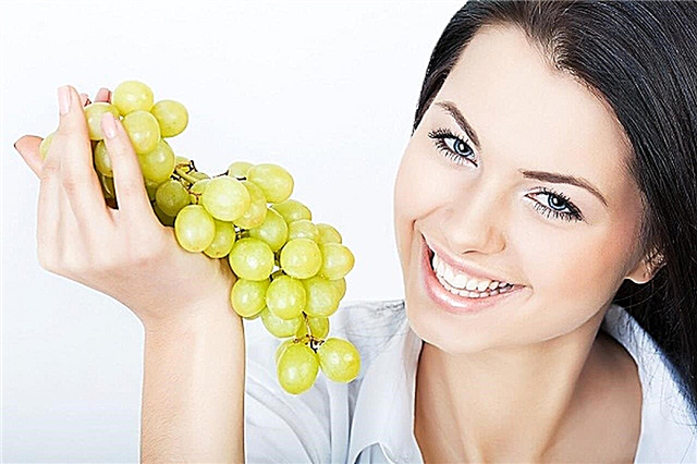Ar nėščios moterys gali valgyti vynuoges?