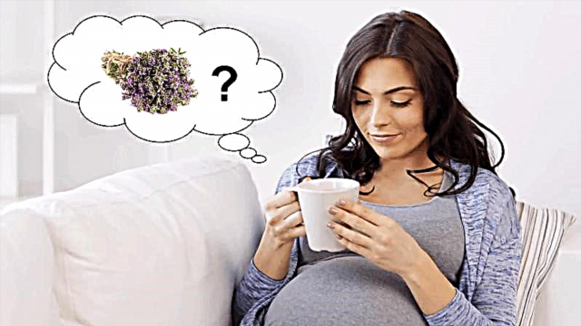 Tomilho durante a gravidez