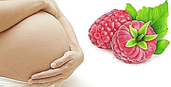 임신 중 라스베리 : 혜택과 해로움, 사용 규칙