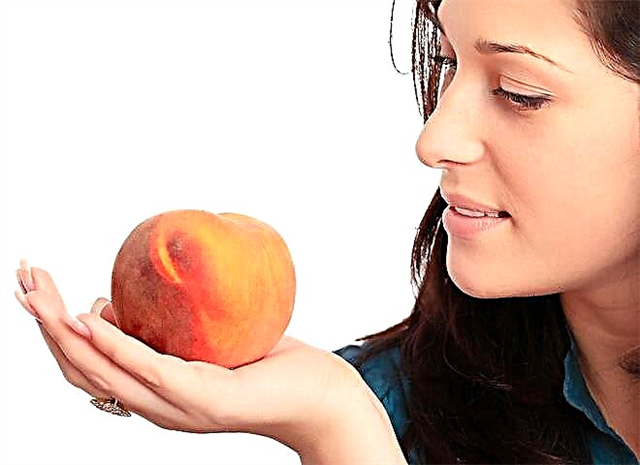 คุณสามารถกินแอปริคอตเนคทารีนและพีชในระหว่างตั้งครรภ์ได้หรือไม่?