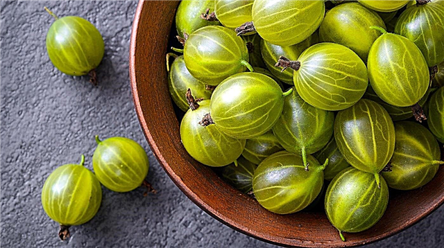 Can you eat gooseberries during pregnancy?